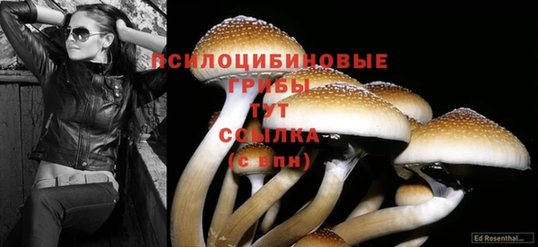 крисы Киренск