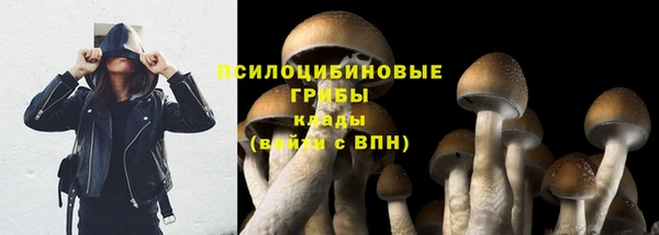 крисы Киренск
