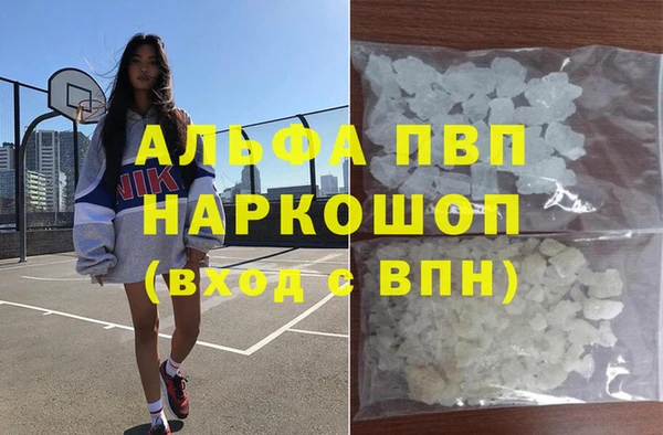 крисы Киренск
