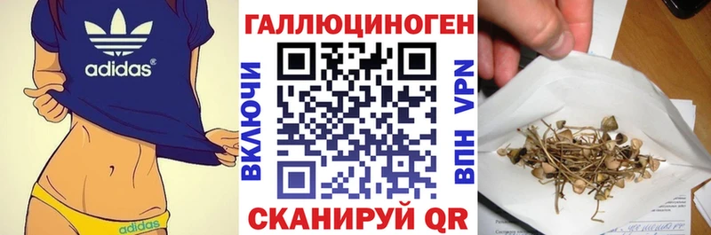 Галлюциногенные грибы Psilocybe  Купить закладки  Весьегонск 